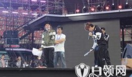 好声音幕后爆料操作视频,操作视频背后的真实操作揭秘